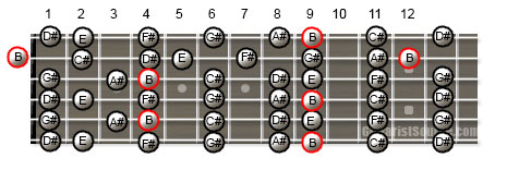 B Major Scale in Open G Tuning Guitar Scale Patterns for the B Major Scale in Open G Tuning
